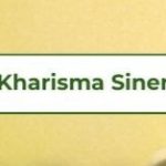 Logo PT Kharisma Sinergi Sukses