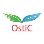 Logo OstiC Management