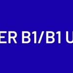 Lowongan Kerja di DRIVER B1/B1 UMUM